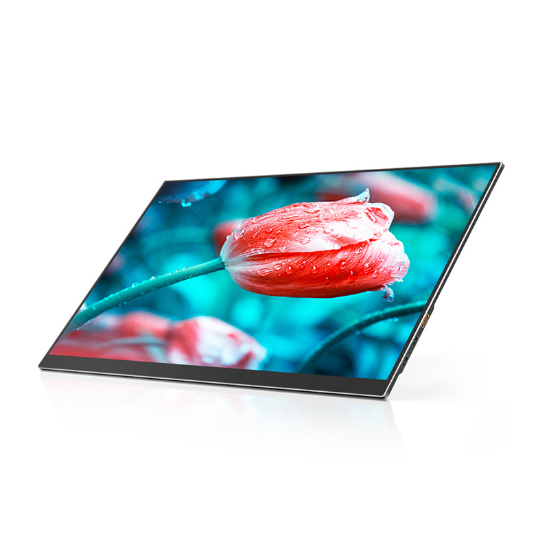 Monitor Spanish 60Hz 17,3 pulgadas Monitores LED portátiles FHD 1080P Pantalla de ...